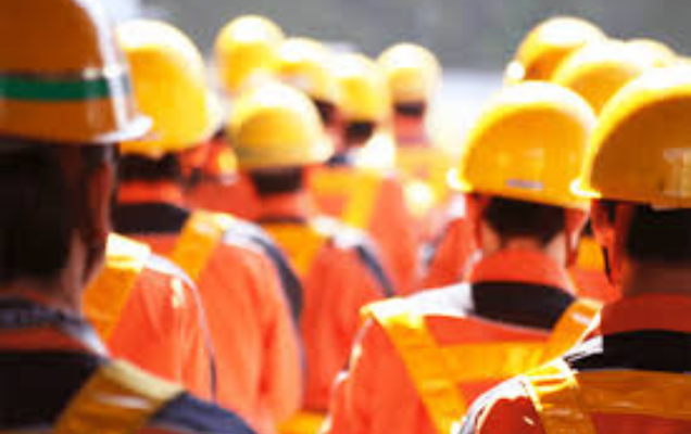 Consultancy, Manpower & Training Services petrawave energy